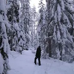 Menninkaeinen