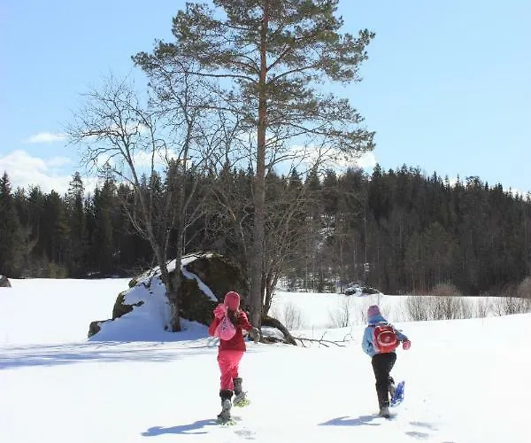 Menninkaeinen Hébergement de vacances *